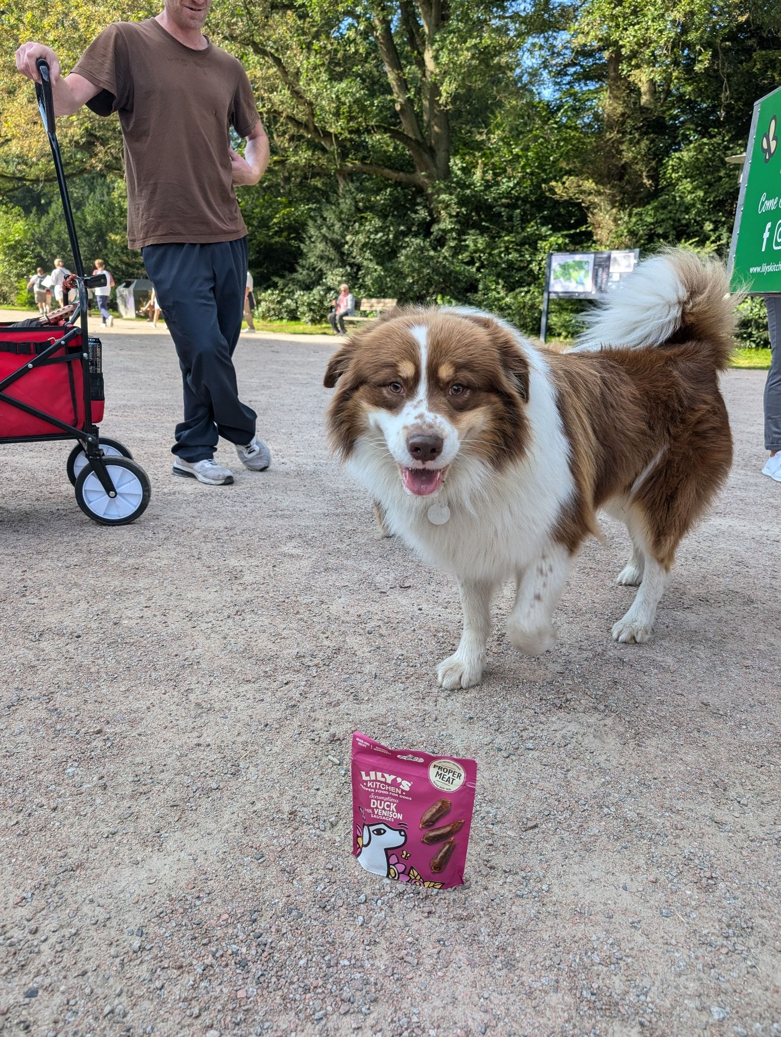 Hund mit Lily’s Kitchen Duck & Venison Snacks in einem Hamburger Park während der Promotion-Tour.

